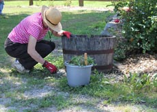 Member working on a garden at The Village workcamp, June 2015